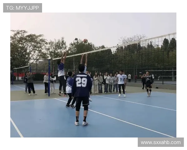 成都排球队耐力变革引发热议助力竞技水平提升与团队协作创新